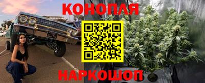 сатива Изобильный