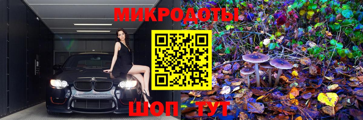 Псилоцибиновые грибы Psilocybe  Вход с VPN  Псилоцибиновые грибы Cubensis  Лангепас 